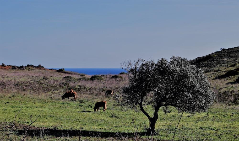 Praia Do Burgau Zewnętrze zdjęcie